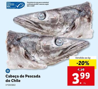 Lidl Cabeça de Pescada do Chile promoção