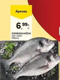 Continente Bom dia Dourada média promoção