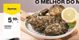 Continente Bom dia Ostras promoção