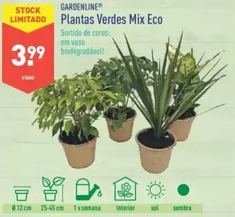 Gardenline Plantas Verdes Mix Eco