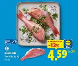Lidl Red Fish promoção
