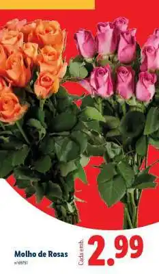Lidl Molho de Rosas promoção