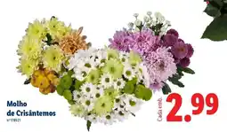 Lidl Molho de Crisântemos promoção