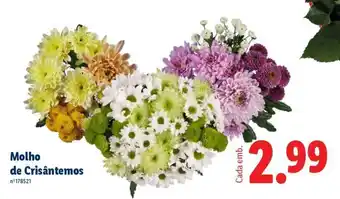 Lidl Molho de Crisântemos promoção