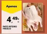 Continente Bom dia Pato - inteiro fresco promoção
