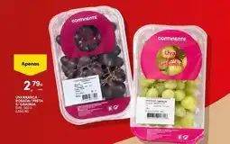 Continente Bom dia Continente - aperitivos promoção