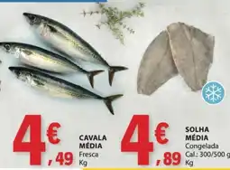 E.Leclerc Cavala média fresca promoção