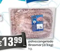 Bolama polvo congelado brasmar promoção