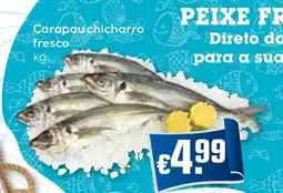 Bolama Carapau chicharro fresco promoção