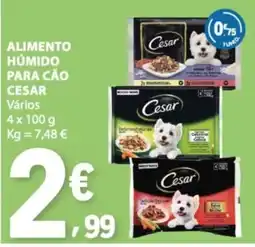 E.Leclerc alimento húmido para cão cesar promoção