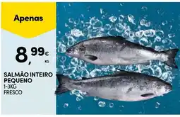Continente Salmão inteiro pequeno promoção