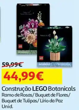 Auchan Construção LEGO Botanicals promoção