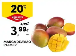 Continente Manga de avião palmer promoção