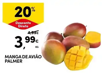 Continente Manga de avião palmer promoção
