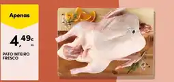 Continente Pato inteiro fresco promoção