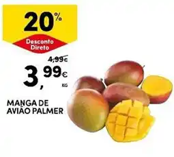 Continente Manga de avião palmer promoção