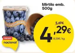 Froiz Mirtilo emb. promoção