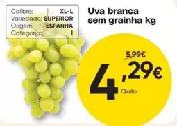 Froiz Uva branca sem graina promoção