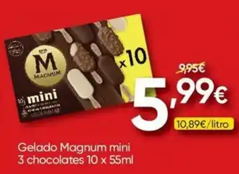 Froiz Gelado magnum mini promoção
