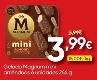 Froiz gelado magnum mini amêndoas promoção