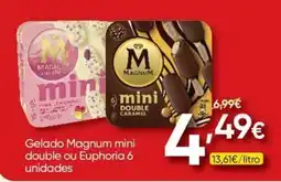 Froiz Gelado Magnum mini double ou Euphoria 6 unidades promoção