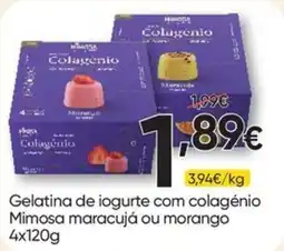 Froiz Gelatina de iogurte com colagênio Mimosa promoção