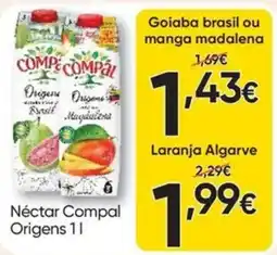 Froiz Néctar Compal Origens 1l promoção