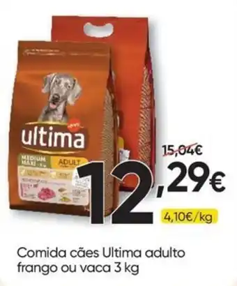 Froiz comida cães ultima adulto frango ou vaca promoção