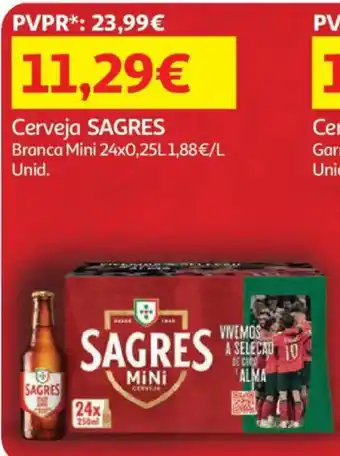 Auchan Cerveja Sagres promoção