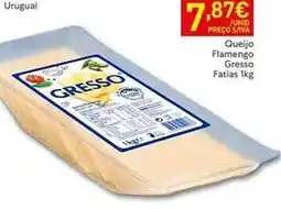 Recheio Gresso - queijo flamengo fatias promoção