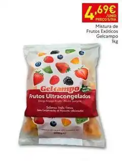 Recheio Gelcampo - frutos ultracongelados promoção