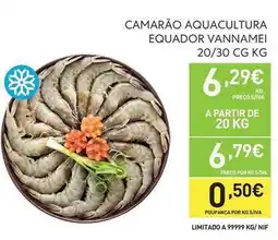 Recheio A+ - camarão aquacultura equador vannamei promoção