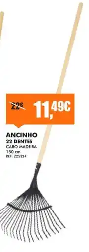 Armazéns Reis Ancinho 22 dentes cabo madeira promoção