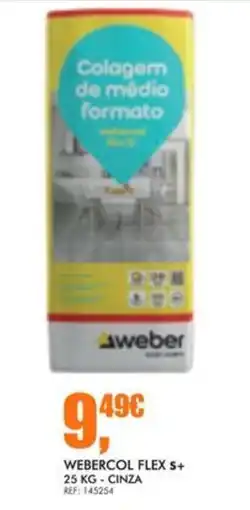 Armazéns Reis webercol flex s+ promoção