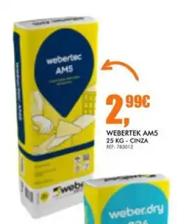 Armazéns Reis Webertec am5 promoção