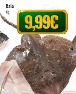 Belita Raia promoção