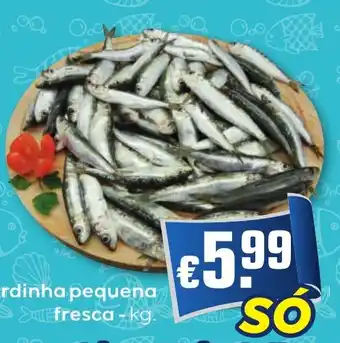 Bolama Sardinha pequena fresca promoção