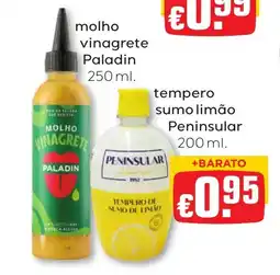 Bolama molho vinagrete paladin promoção