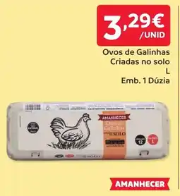 Amanhecer Ovos de galinhas criadas no solo promoção