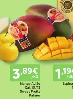 Amanhecer Manga Avião Cal. 10/12 Sweet Fruits Palmer promoção