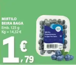 E.Leclerc Mirtilo beira baga promoção