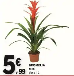 E.Leclerc Bromelia mix promoção