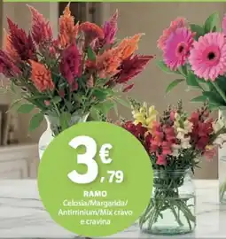 E.Leclerc ramo celosia/margarida/antirriniun/mix cravo e cravina promoção
