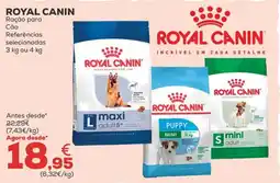 Kiwoko royal canin ração para cão promoção