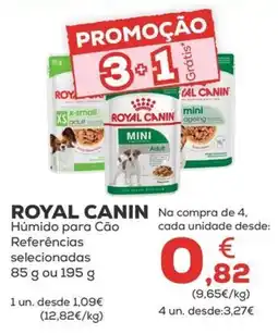Kiwoko royal canin húmido para cão promoção