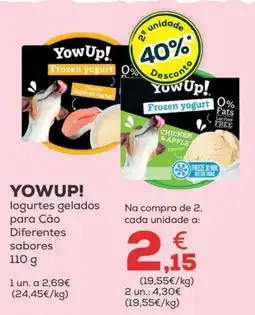 Kiwoko YowUp! logurtes gelados para Cão promoção