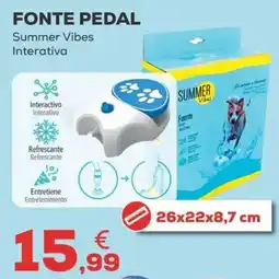 Kiwoko fonte pedal summer vibes interativa promoção