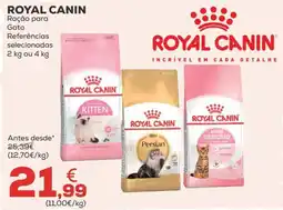 Kiwoko Royal Canin ração para gato promoção