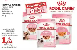 Kiwoko Royal Canin Húmido para Gatinho promoção