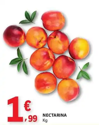 E.Leclerc Nectarina promoção